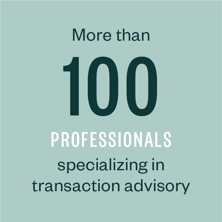 More than 100 professionals specializing in transaction advisory