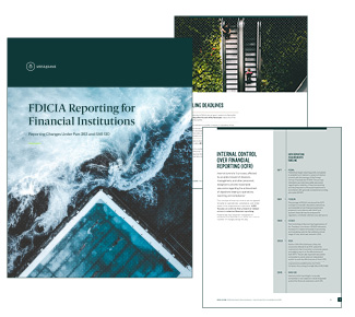 FDICIA Guide: Reporting for Financial Institutions