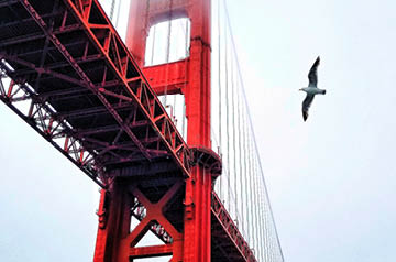 Golden Gate Bridge