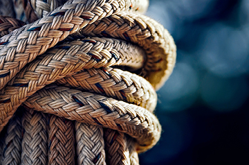 closeup of knotted rope