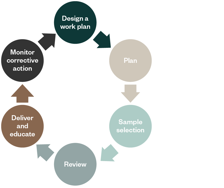 Circle flow chart - Design a work plan > plan > sample selection > review > deliver and educate > monitor corrective action