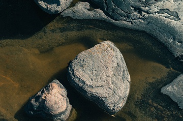 tide pool
