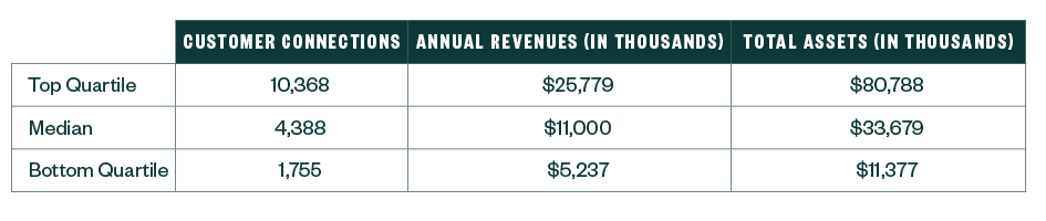 Table comparing the customer connections, annual revenues in thousands and total assets in thousands for the top quartile, median and bottom quartile