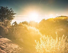 BMX rider at sunset