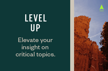 Level up - elevate your insight on critical topics
