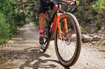 mountain biker on trail