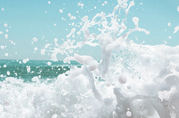 closeup of seafoam
