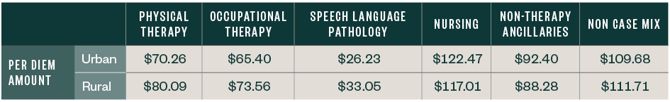Payments for physical therapy, occupational therapy, speech language pathology, nursing, non-therapy ancillaries, and non case mix, in urban and rural areas.