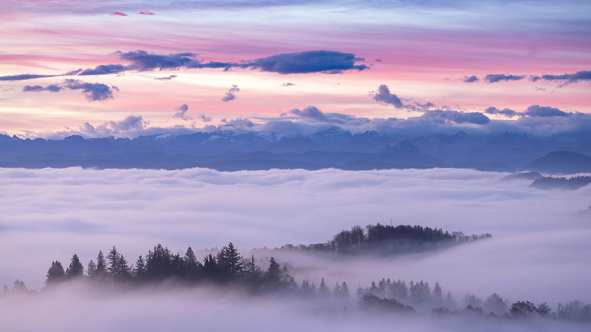 2025 Executive Health Care Conference: AI Governance, Safety, and Compliance