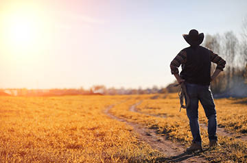 Cowboy silhouette