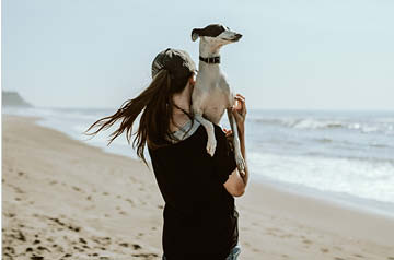 carrying dog on beach