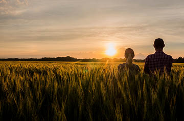 Two people standing in a wheat field watching the sunset