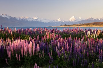 Understand Medicaid DSH Costs and Compliance Thumbnail