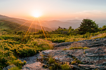 hilly landscape