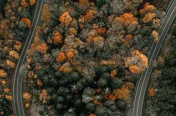 highways through autumn forest