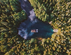 forest lake house