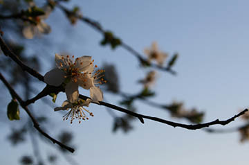 R&D tax credits for the beauty industry Thumbnail