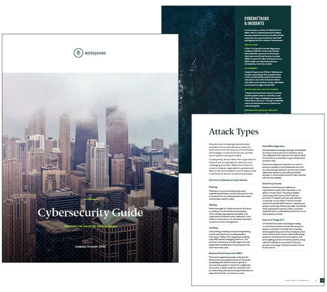 Cybersecurity Guide