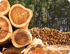 lumber yard