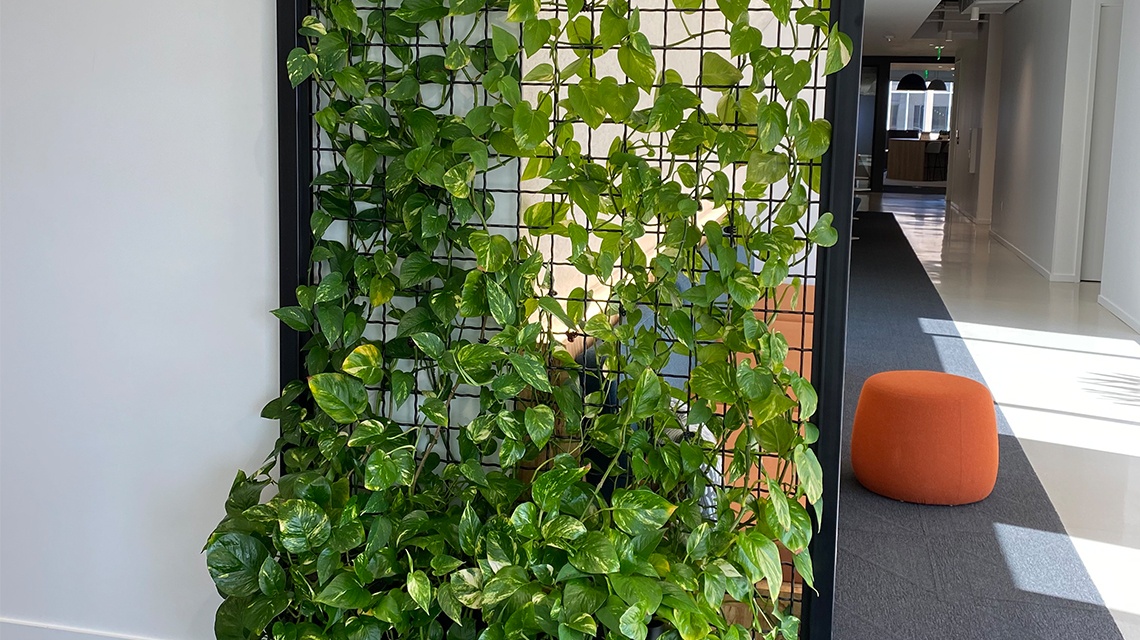 Office Photo 3