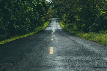 forest road