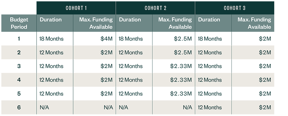 Different cohorts and how budget is allocated between them