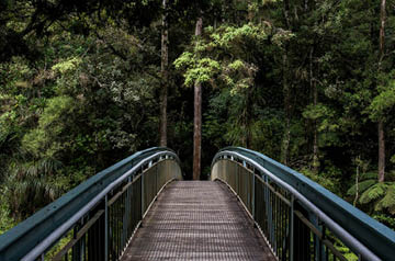 5 R and D Tax Credit Warning Signs Thumbnail