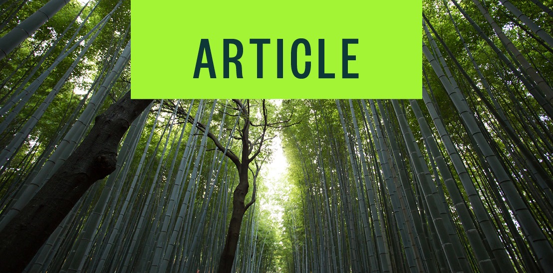 2024 Real Estate Tax Assessment Appeal Deadline in Oregon