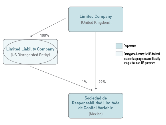 Entity Organization Chart Shapes