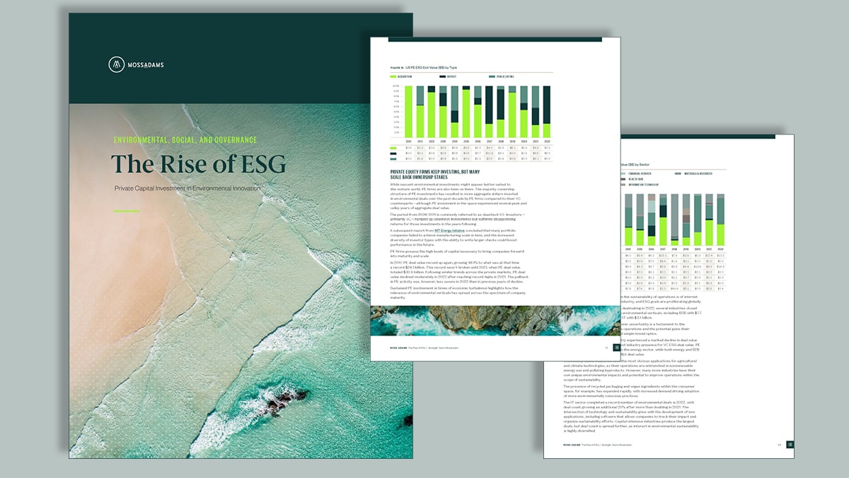 The Rise of ESG